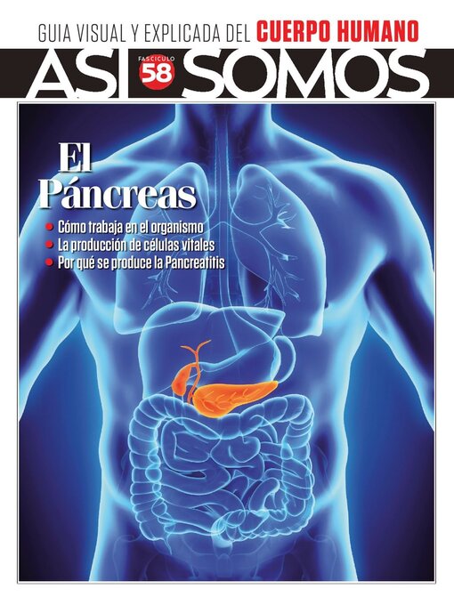 Title details for Así Somos - El cuerpo humano by Media Contenidos - Available